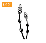 植物素材012