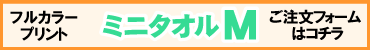 フルカラーミニタオルM用プリントデザイナー