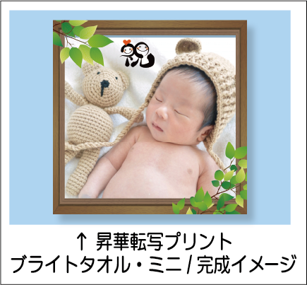 ブライトタオルミニ完成イメージ